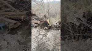 корчеватель пней мтз82