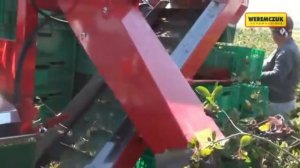 Прицепной полурядный комбайн JOANNA-4