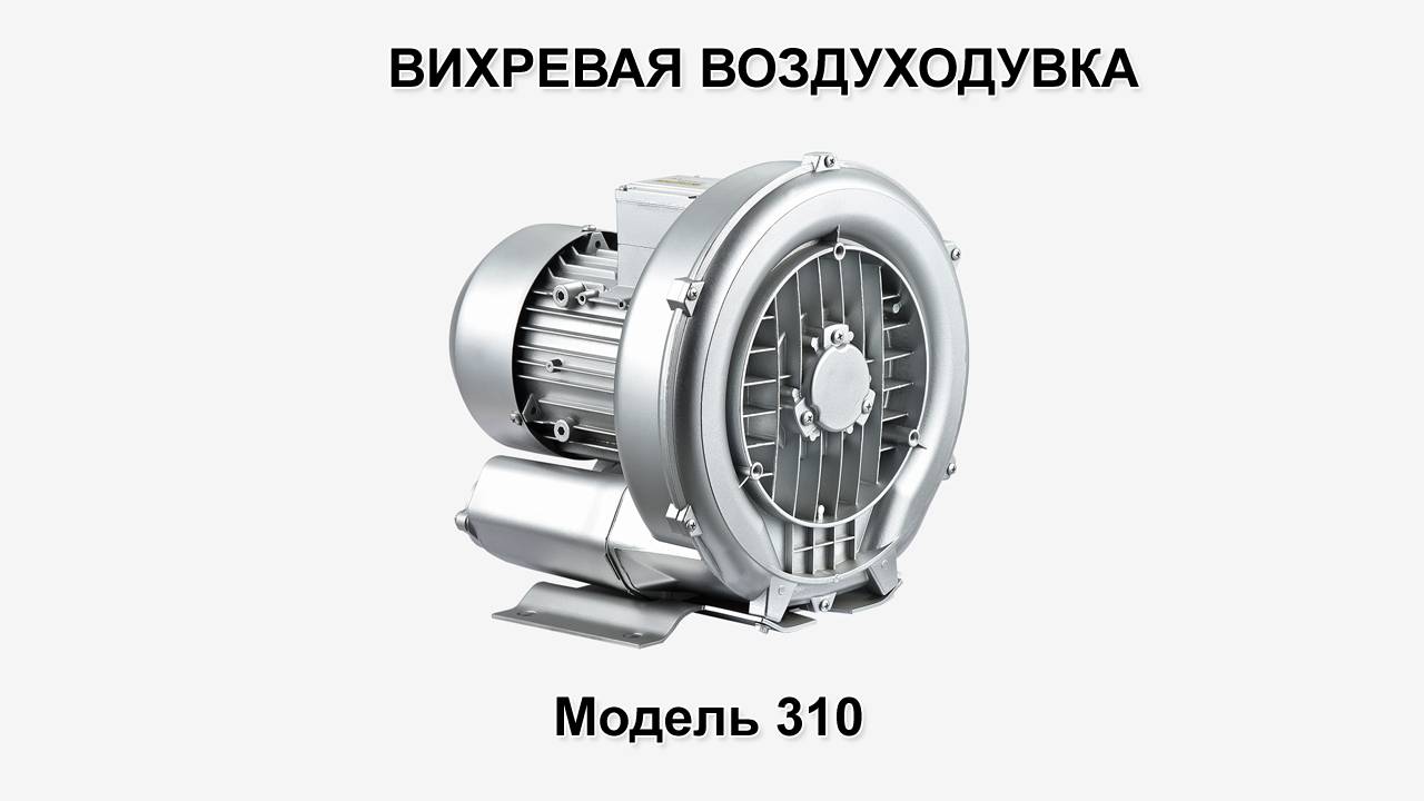 Воздуходувка 2RB 310