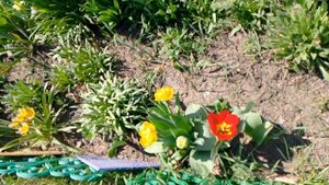 🐣 Пасхальный мини влог: В ожидании Светлого Христова Воскресения 🌸✨