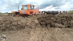 Чистим загоны! Бульдозерные работы на ДТ-75.
