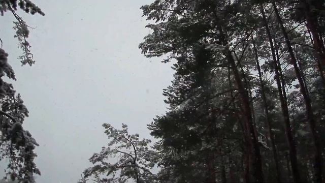 The Beauty and Peril of Snowfall Storms
