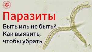 Паразиты. Быть иль не быть? Как выявить, чтобы убрать.