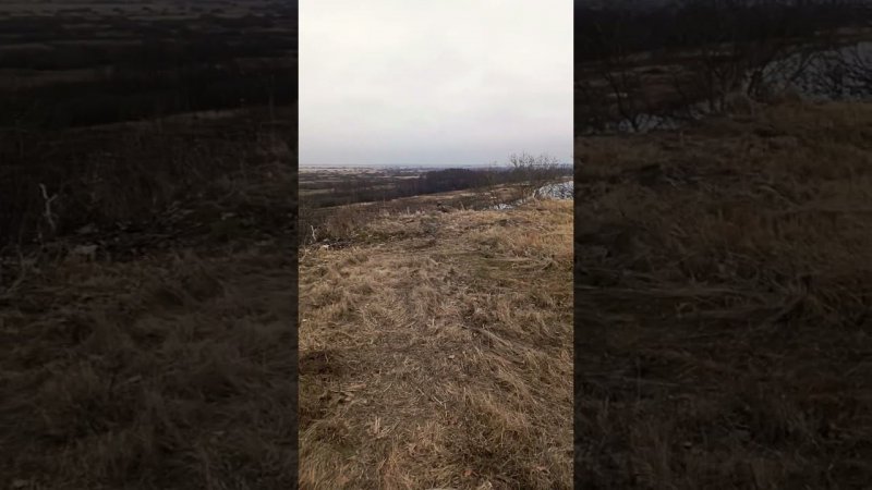 Январь без снега