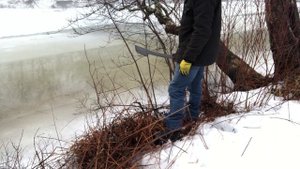 Fiskars Machete Axe Review