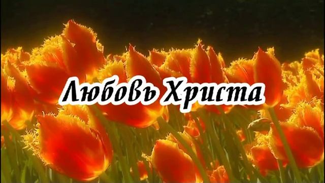 Ксения Лапицкая - Любовь Христа (Я слышу зов любви)