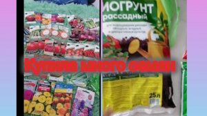 Обзор семян которые купила и цены 😍
