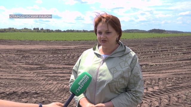 На полях Стародубского района Брянщины полным ходом идет уборка урожая смотреть онлайн