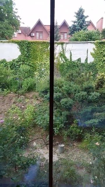 Reynaers Slim Patio раздвижная дверь