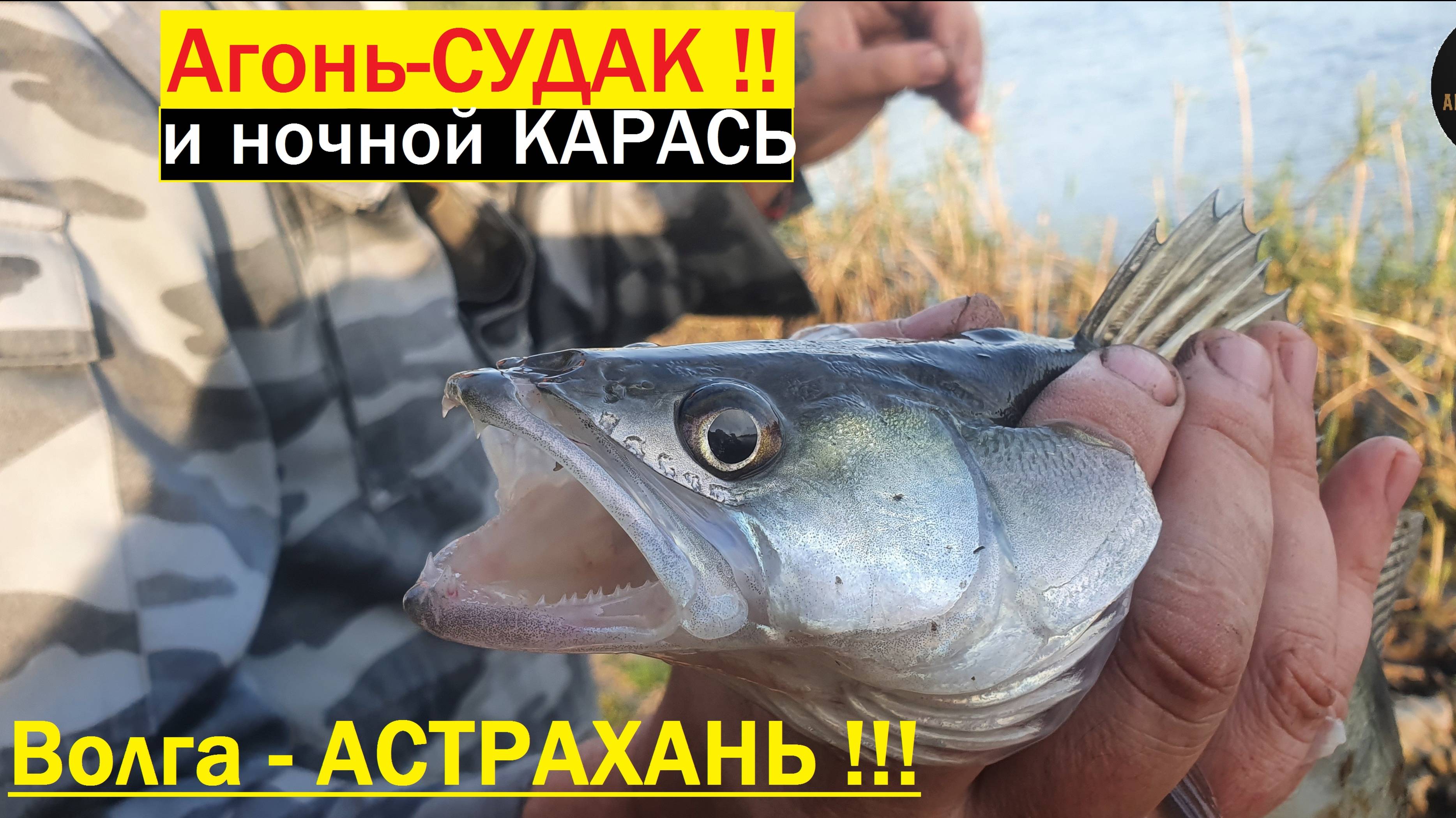 🔥Злой СУДАК и жырный КАРАСЬ🔥 Рыбалка на Волге🐟 !! Астрахань и Диалоги о Рыбалке !!!