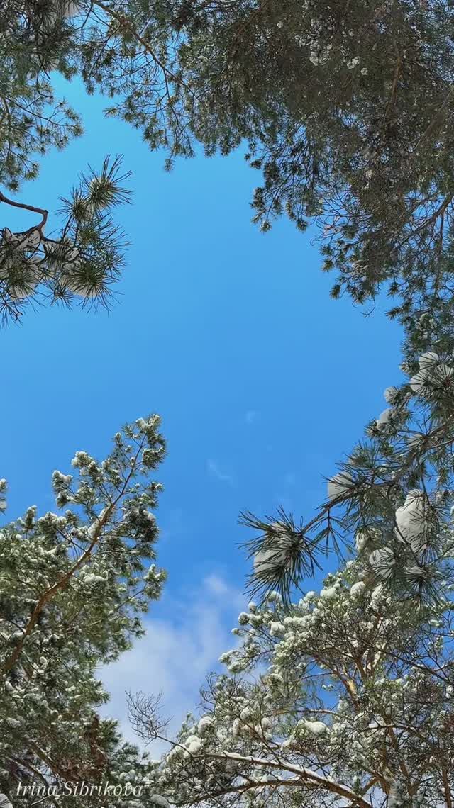 Весна в Новосибирске с сюрпризами☀️❄️