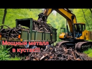 Мощные плюшки лежали в кустах.Металлокоп на каракате.