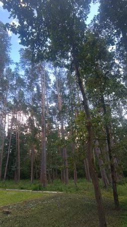 Летом