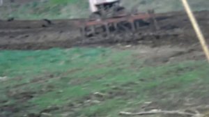 т 54 л культивирует