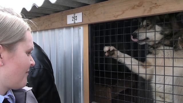 Апрельский выезд в приют