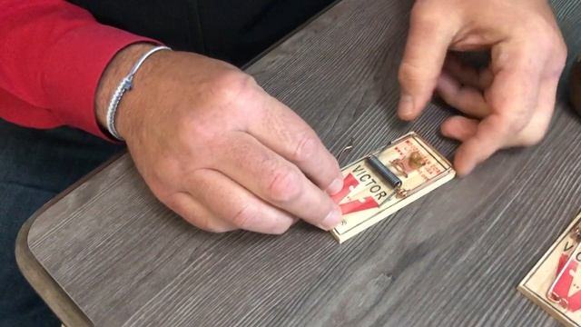 How To Set A Mouse Trap - Ace Hardware смотреть онлайн