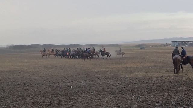 Ростов улак 27.12.2023 жыл Сайит балбан смотреть онлайн