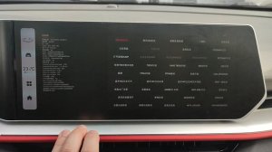 Частичная англофикация ГУ Geely coolray