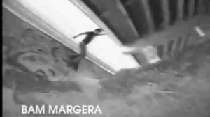 Element skate team montage