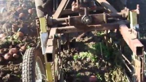 минитрактор тз 4к 14  самодельная грохотная копалка