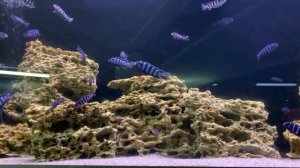 Океанариум в Минске / relax