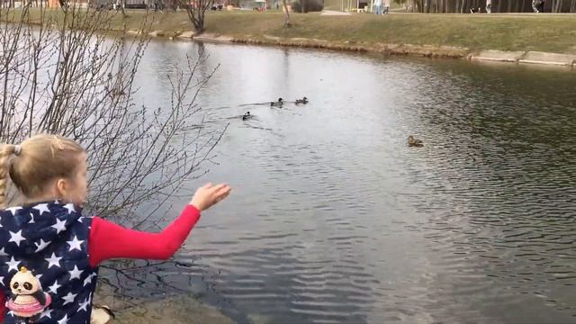 Скейт и утки смотреть онлайн