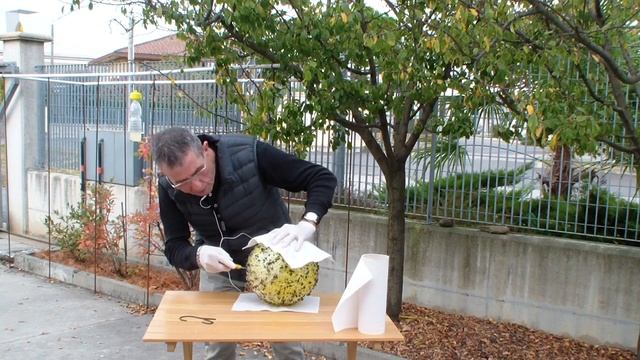 #2 COME RIMUOVERE LA COPERTURA DI SFERA TRAP - Istruzioni passo per passo смотреть онлайн