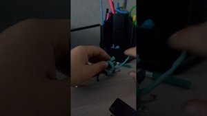 Хаги ваги и живые степлеры и змеи