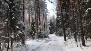 Лесозаготовка форвардер из под ручников