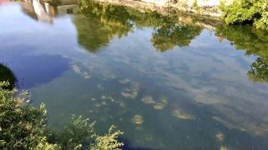 Дагомыс 2019. Воздушный мост.