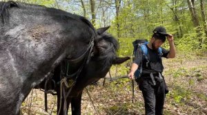 Поход на лошадях Кавказа