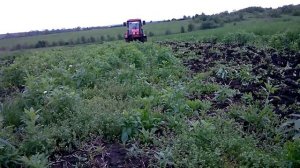 МТЗ 320.4 дискова борона "Bomet" 1.50 m