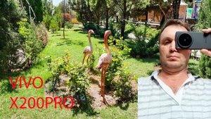 Как снимает видео смартфон VIVO X200 PRO!