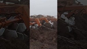 Кировец с дисковой бороной, дискует поле