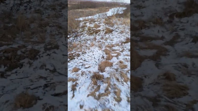 6 февраля 25