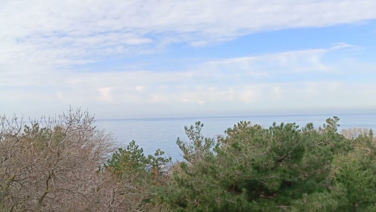 Небо голубое и зеленая трава, сразу так не скажешь - это всё мои слова. Канал ПрО ВсЁ