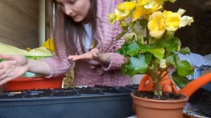 Новый Лесной дом кормит всю семью! Куры несутся как из Пулемета. Привезли комбикорм
