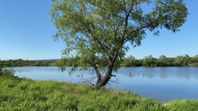 Ишимбай татьяновский пруд смотреть онлайн