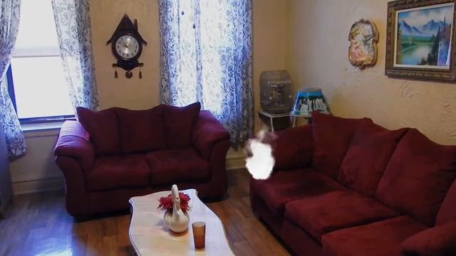 Juan achieves the teleport effect on Adobe Premiere