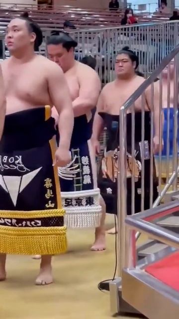 They are Sumo. Sumo has a long history and it has been called Japans traditional spor... shorts