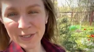 Владимир Губачев