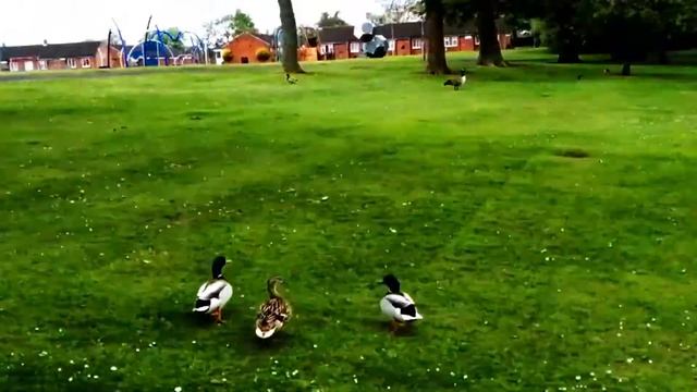 PAL PAK AKO/ GROCERY SHOPPING LOCKEDOWN/FILIPINA LIFE UK смотреть онлайн