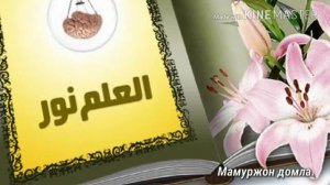 Хорут ва Морут малоикларнинг одамларга сехр ургатиш сабаблари Мамуржон домла