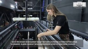 Театр марионеток специально для Хокимията Города Ташкента.