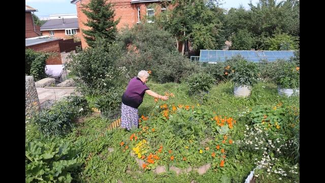 29 07 22 Люба смотреть онлайн