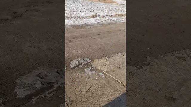 Трактор Т-40.Обзор про деланной роботы по покраске ! смотреть онлайн