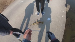 Место моего первого  видео на ютуб