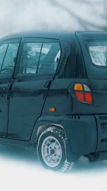 Bajaj phev от Академика. Обзор лучшего электрокара