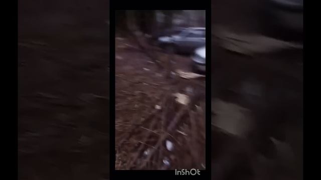 вот это срач навели нифига себе я в шоке просто от увиденного
Я всё понимаю только снег расставил