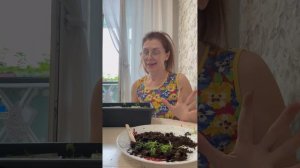 Хризантема низкорослая взошла на 💯